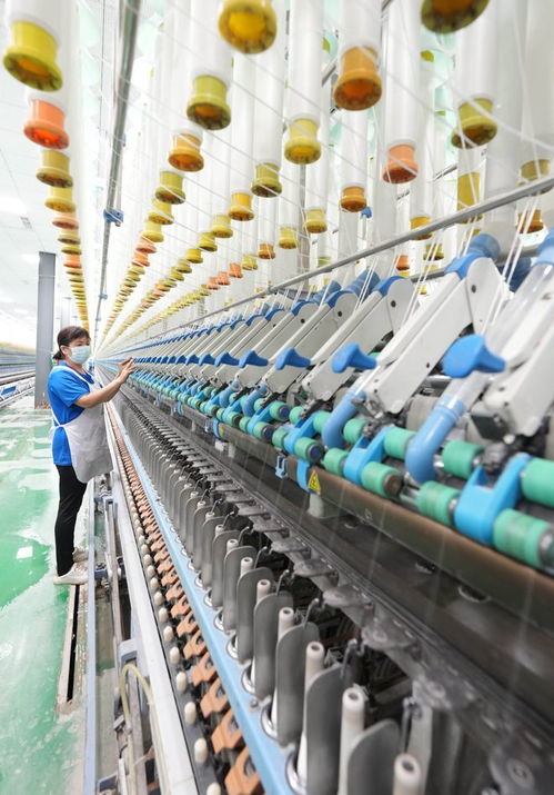 经济 河北晋州 打造纺织产业集群助推经济发展